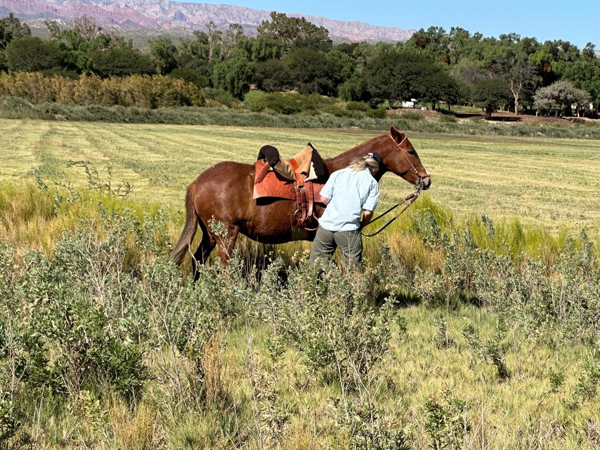 Estancia Banda Grande - Horse & Hiking Safaris 모리노스 외부 사진