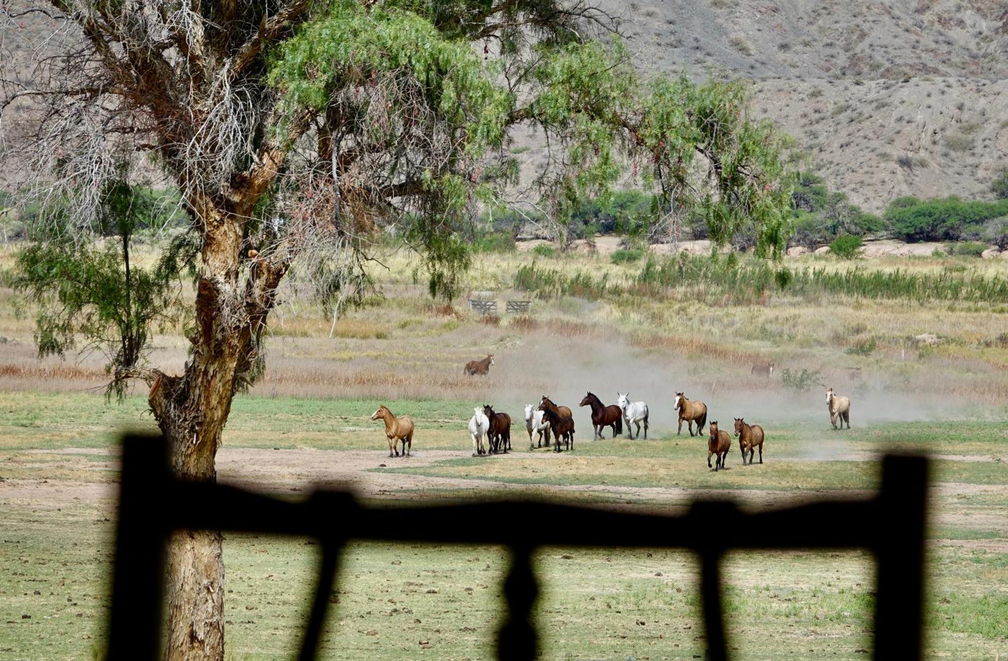 Estancia Banda Grande - Horse & Hiking Safaris 모리노스 외부 사진