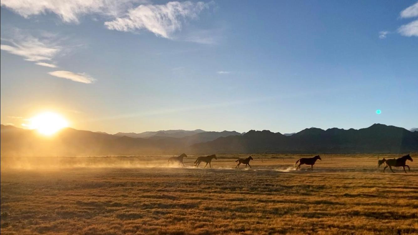 Estancia Banda Grande - Horse & Hiking Safaris 모리노스 외부 사진